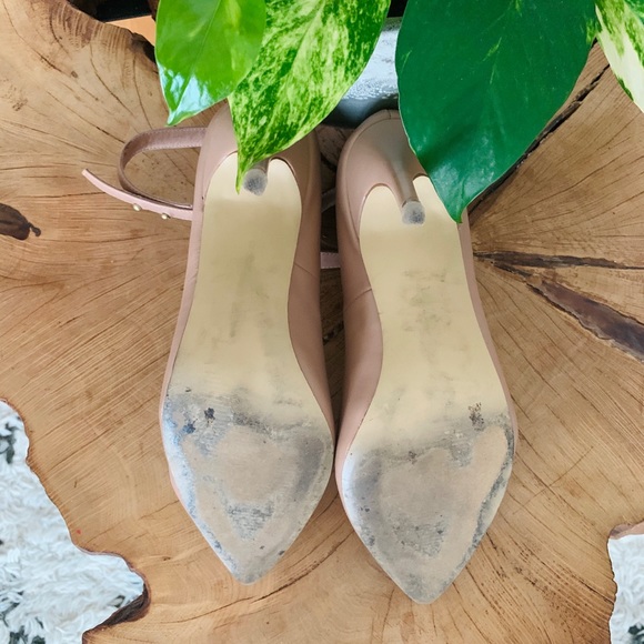 Steve Madden | Ballerina Pumps - Picture 4 of 4